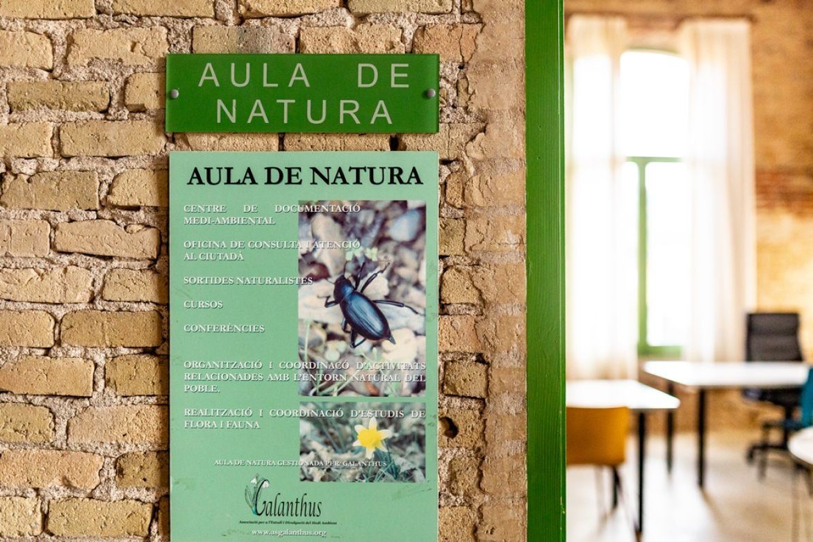 Seu Associació Galanthus | © Martí Navarro Seu Associació Galanthus | © Martí Navarro