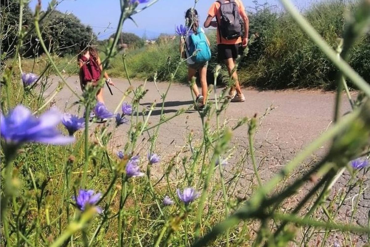 Excursió Casal Artístic de Celrà | © Casal Artístic Excursió Casal Artístic de Celrà | © Casal Artístic