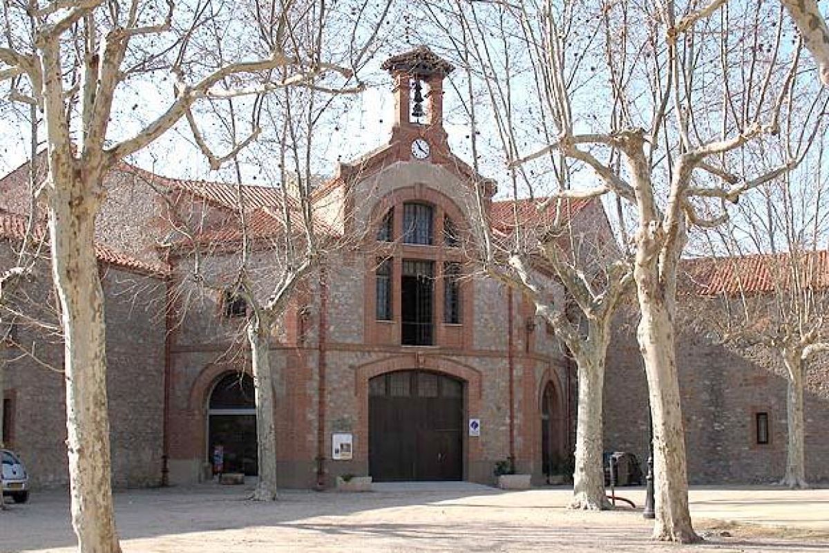 Caves Alenyà